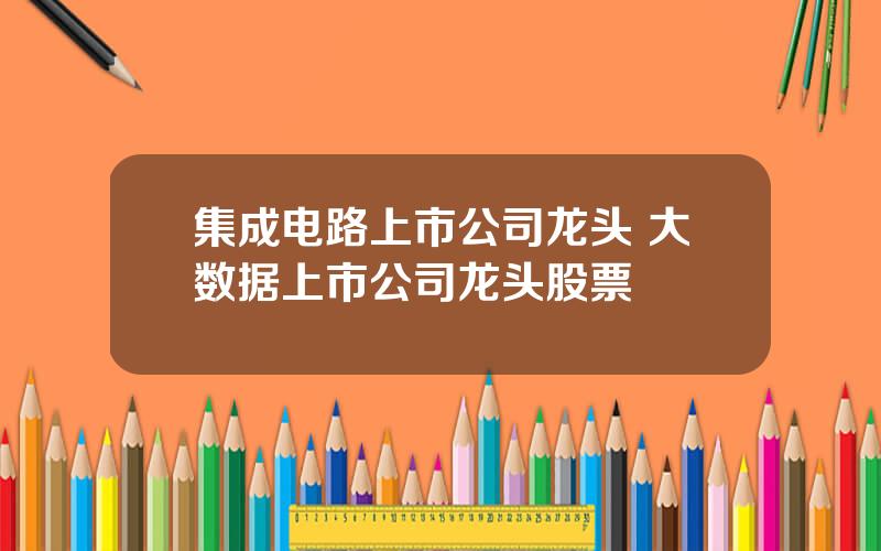 集成电路上市公司龙头 大数据上市公司龙头股票